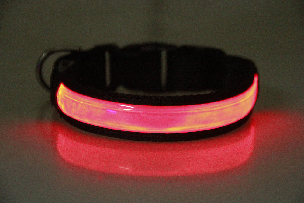 Rechargeable Luminous Pet Collar for Dogs