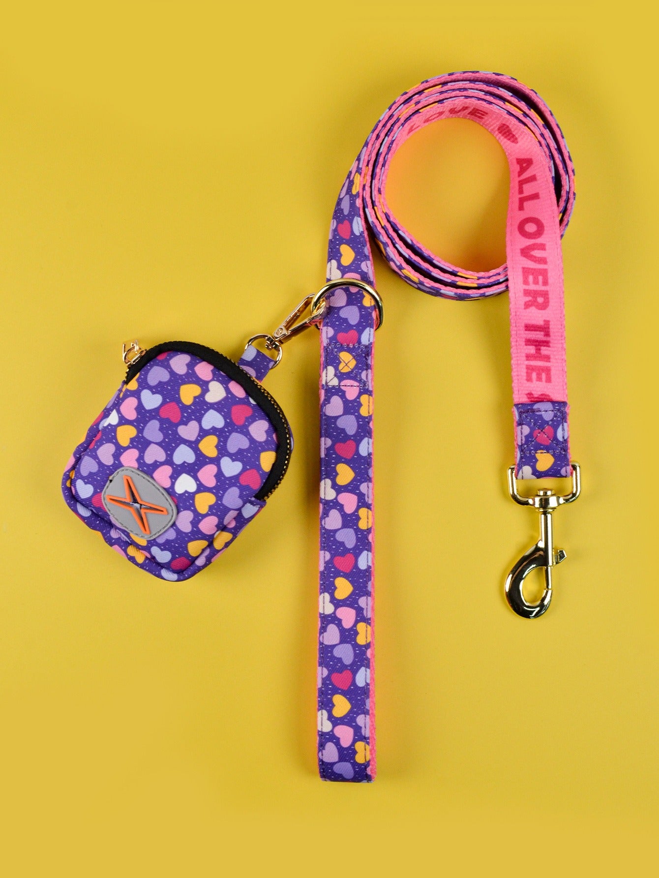 Dog Leash & Poop Bag Holder Set