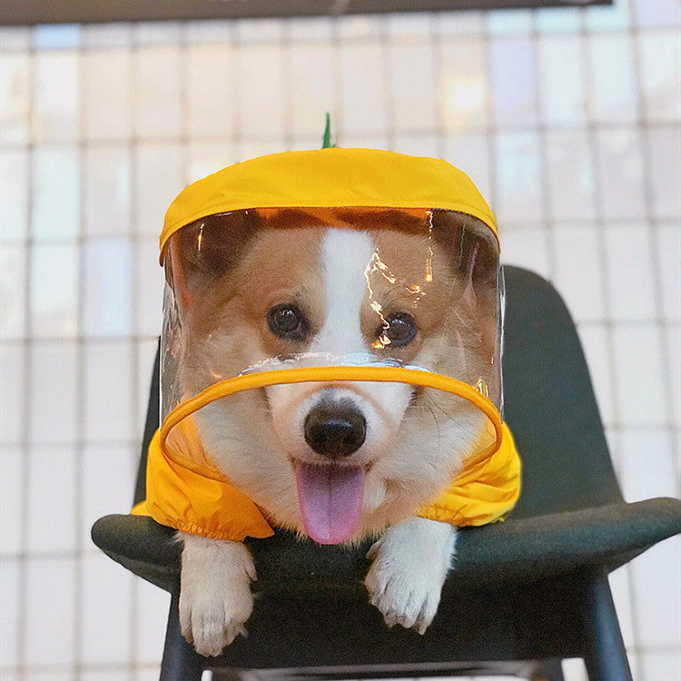 Dog Raincoat Waterproof Cute Dinosaur Costume for Pets