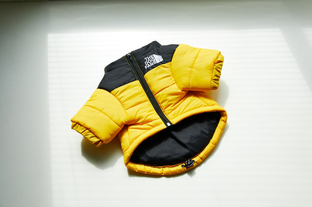 Windproof Rainproof Dog Winter Cotton-padded Clothes