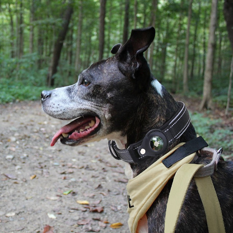 AirTag-Compatible Reflective Pet Collar