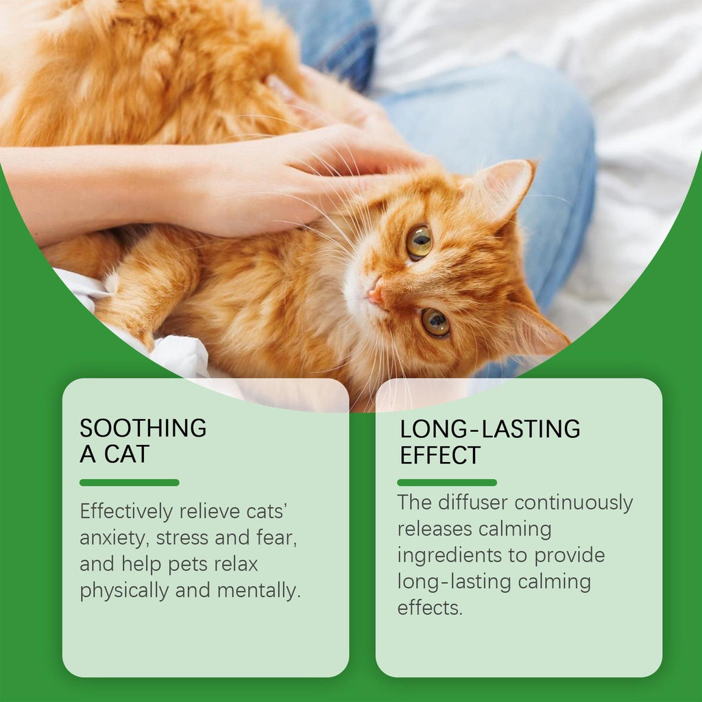 Cat Emotional Care Set