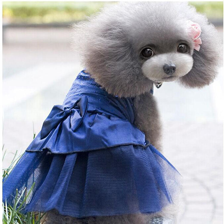 Cat Dress and Dog Wedding Gown and Outfit