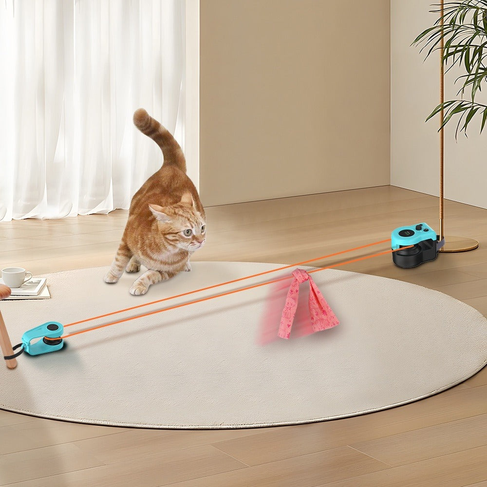 Remote Control Interactive Cat Toy with Sound