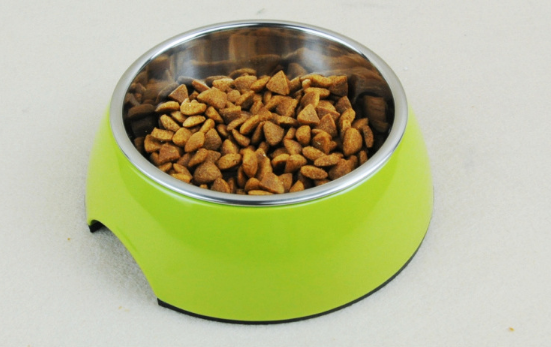 Multi-Color Stainless Steel Pet Bowl for Cats and Dogs