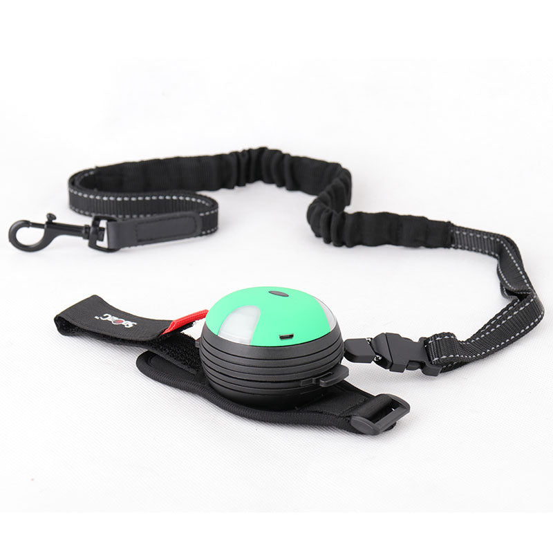Automatic Retractable Dog Leash with Light (3m)