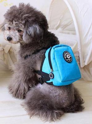 Dog Backpack for Small Pets - Teddy, French Bulldog