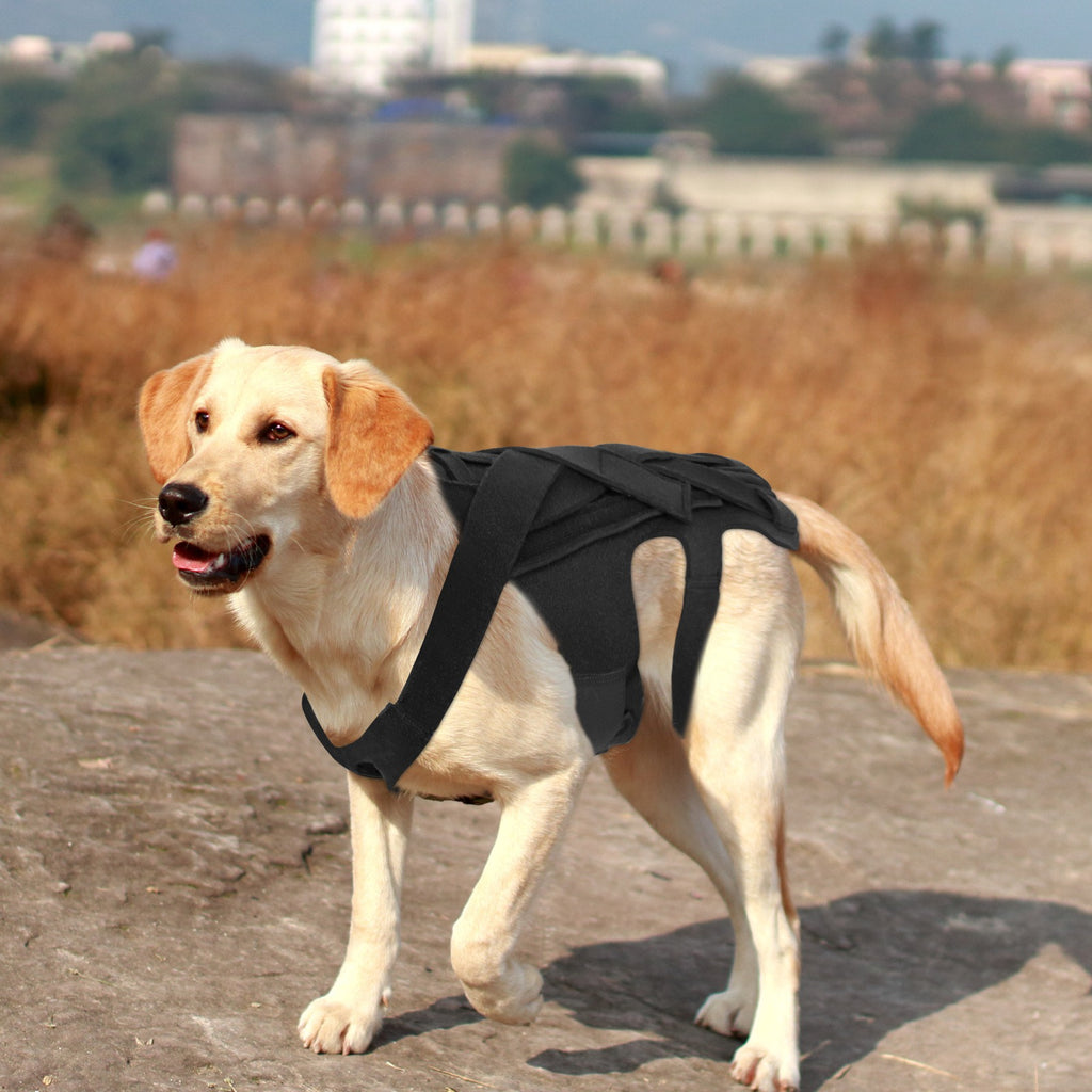 Dog Injury-Relief Vest