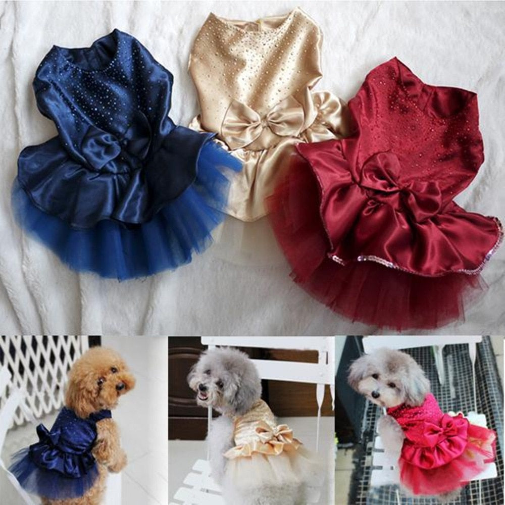 Cat Dress and Dog Wedding Gown and Outfit