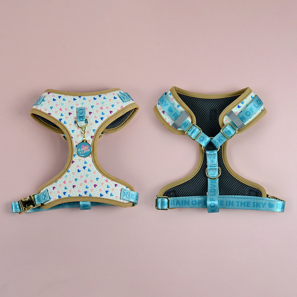 Adjustable Breathable Dog Harness