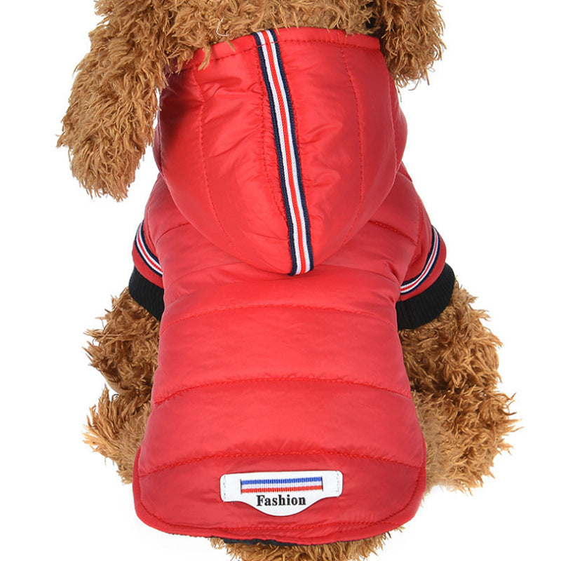 Pet Winter Cotton Jacket for Small Dogs and Cats
