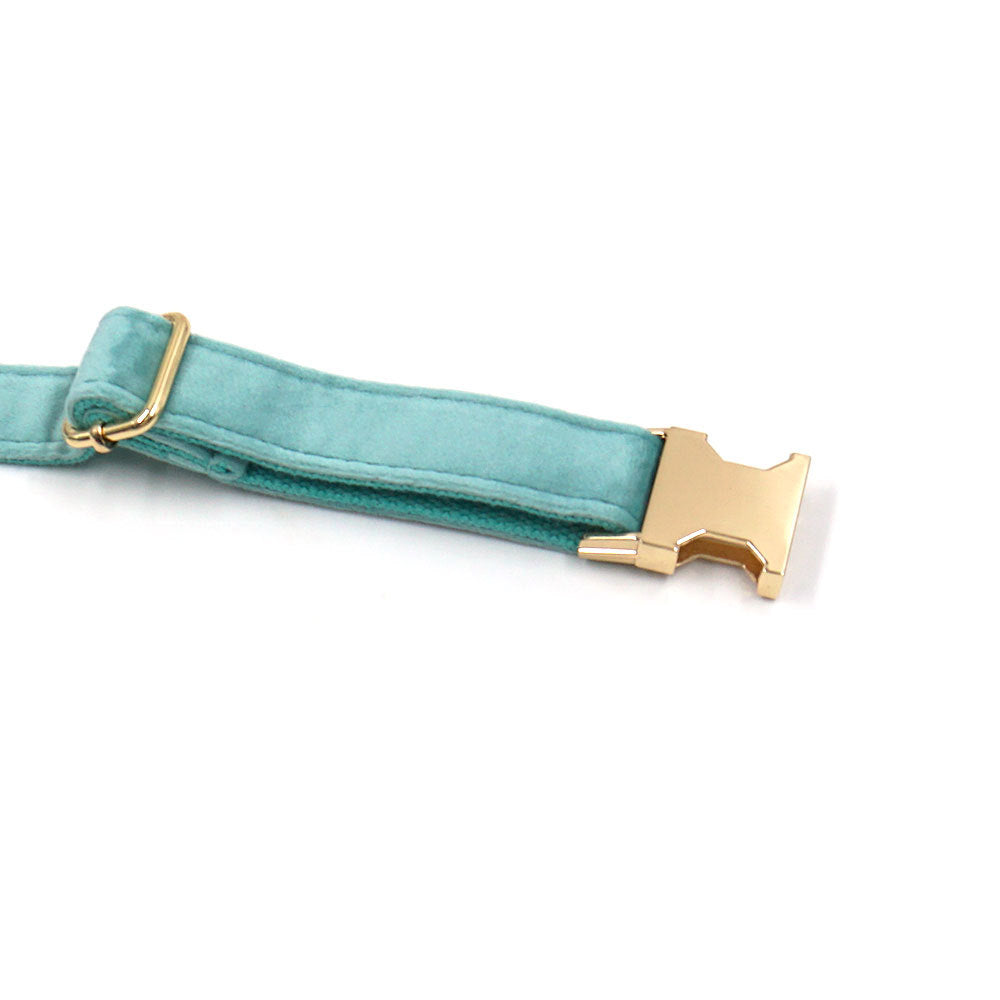 New Lake Green Velvet Pet Collar with Gold Buckle