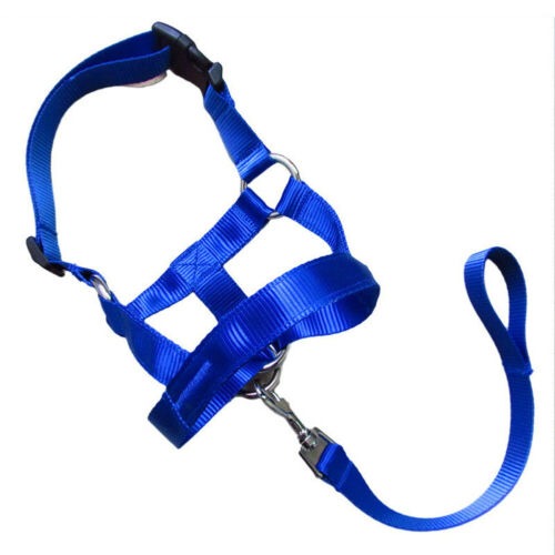 Dog Muzzle & Leash, Nylon