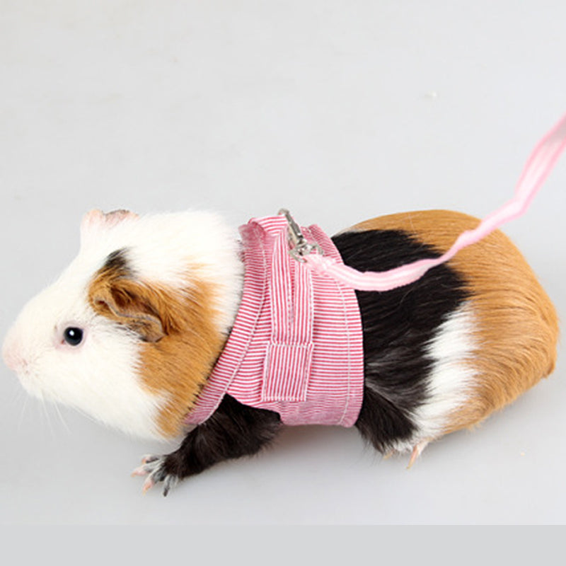 Towing Rope for Baby Rabbit and Chinchilla with Chest Strap