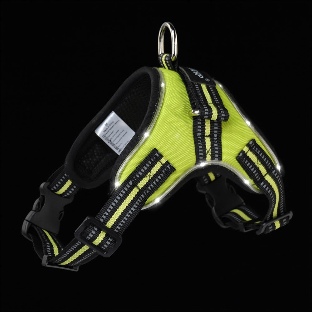 Glowing Dog Collar for Safety and Style