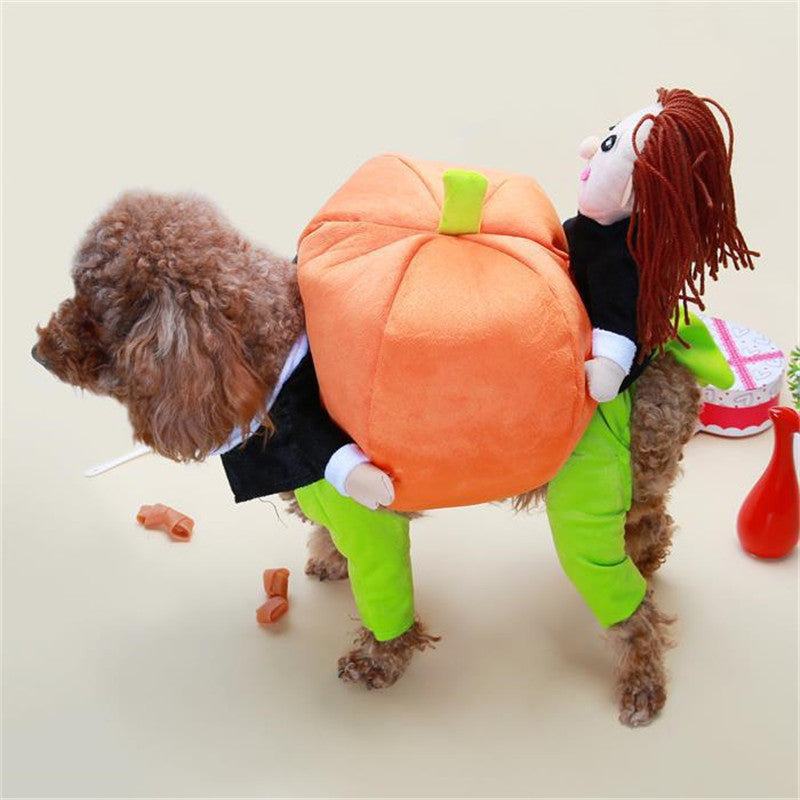 Funny Teddy Poodle Pumpkin Costume for Dogs
