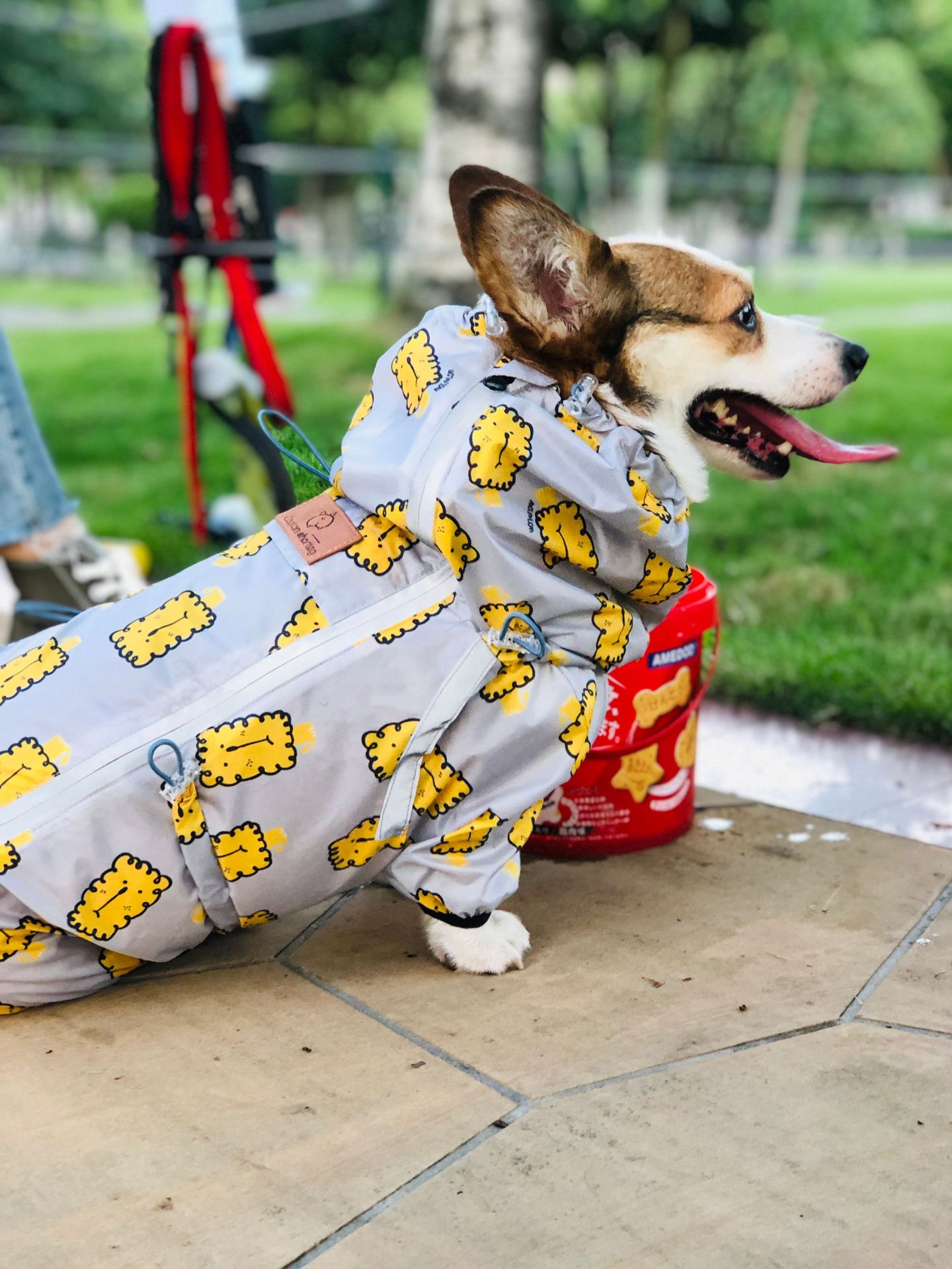 Golden Retriever Corgi Full Wrap Waterproof Coat