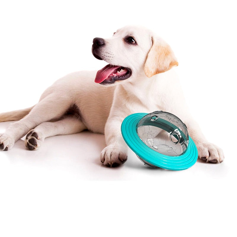 Pet Educational Food Toy