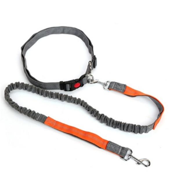 Dog Leash and Tethering Rope for Pets