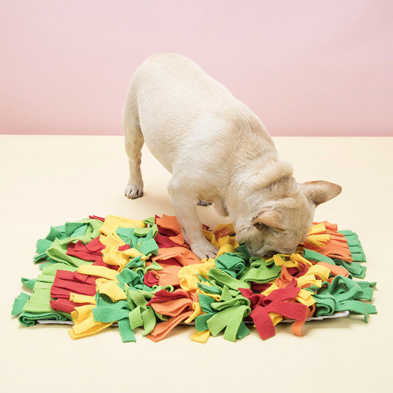 Pet Sniffing Pad for Foraging Training (European & American)
