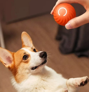 SmartDog Automatic Spinning Ball for Dogs (One Piece)
