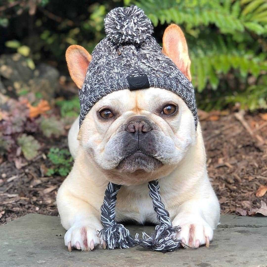 Winter Dog Pom Hat Knitted Warm