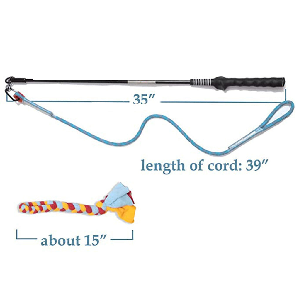 Portable Interactive Pet Training Toy for Outdoor Play