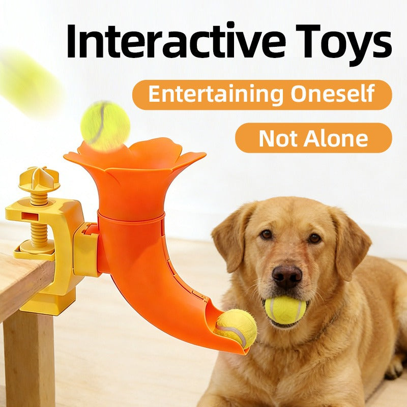 Self-Feeding Ball Dispenser