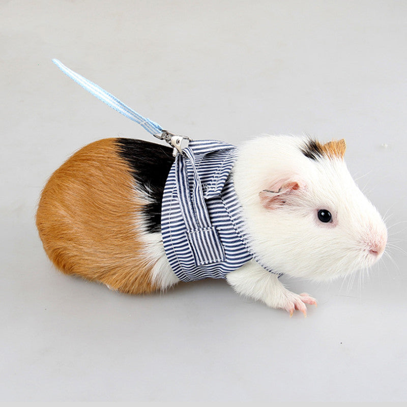 Towing Rope for Baby Rabbit and Chinchilla with Chest Strap