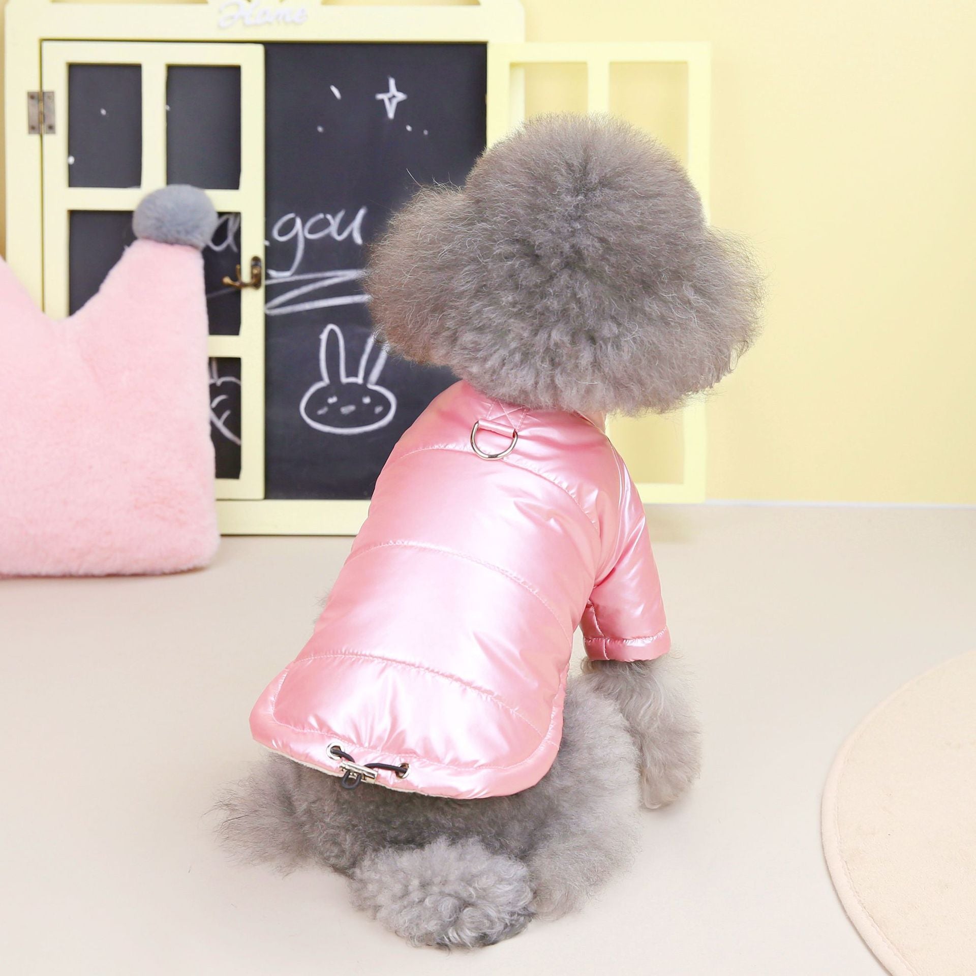 Waterproof Jacket for Dogs - Autumn and Winter Wear