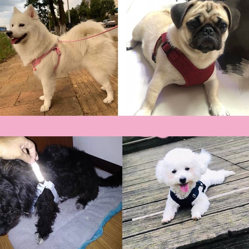 Reflective Dog Harness and Leash Set