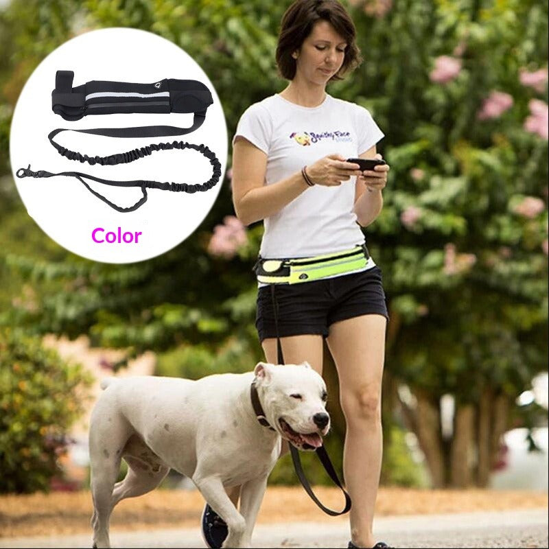 Pet Multi-Pocket Leash