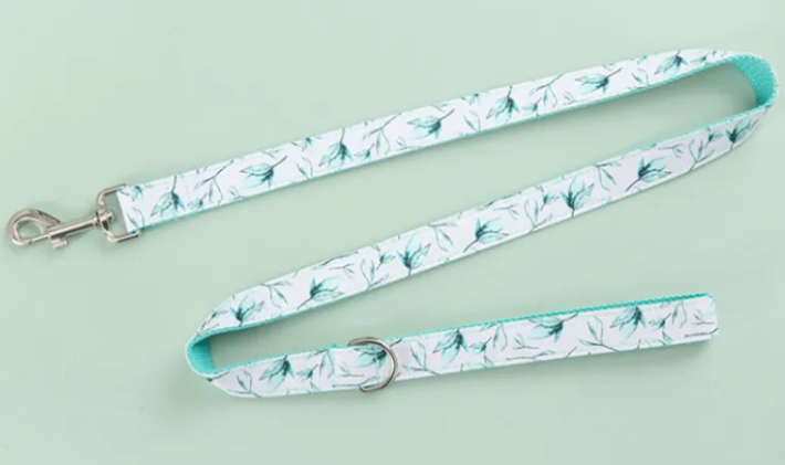 Pet Leash