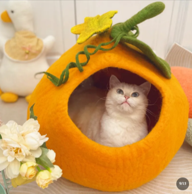 Wool Felt Cat Nest