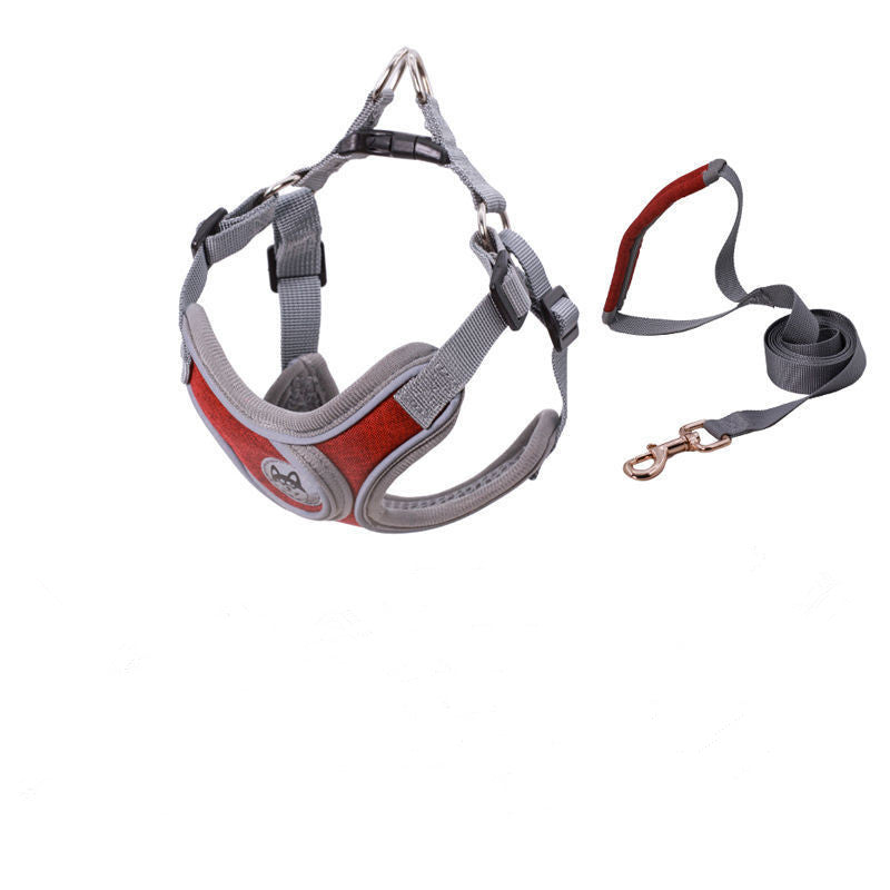 PET Strap Collar and Leash for Small to Medium Dogs