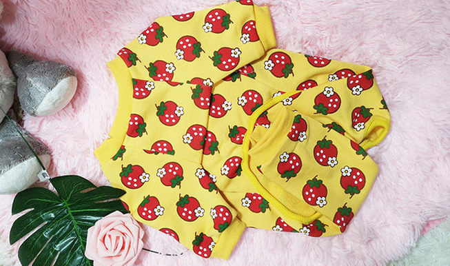 New Strawberry Pet Outfit for Autumn and Winter