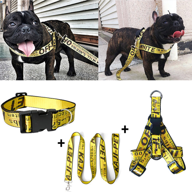 Gold Chain Nylon Dog Collar and Leash Set for Pets