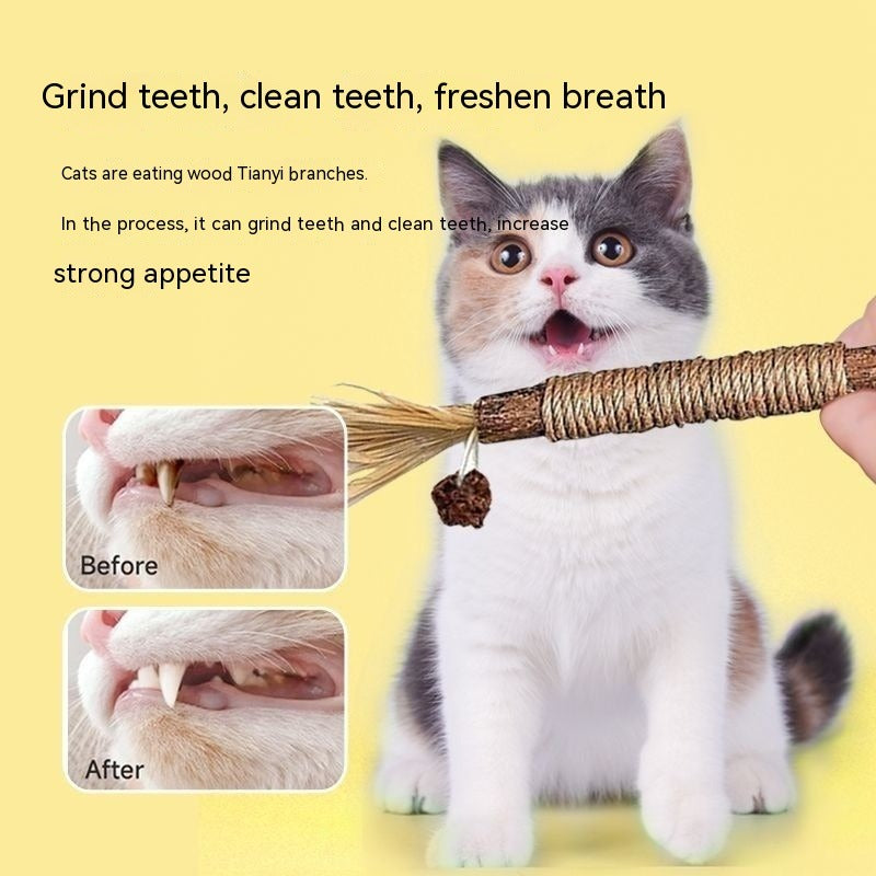 Cat Gall Fruit Stick Molar Chew Toy