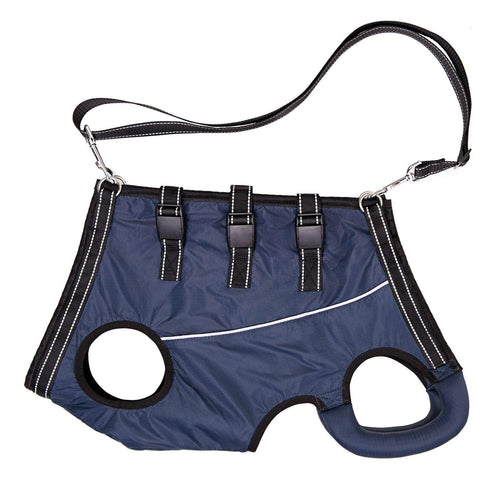 Auxiliary Belt for Elderly and Disabled Dogs