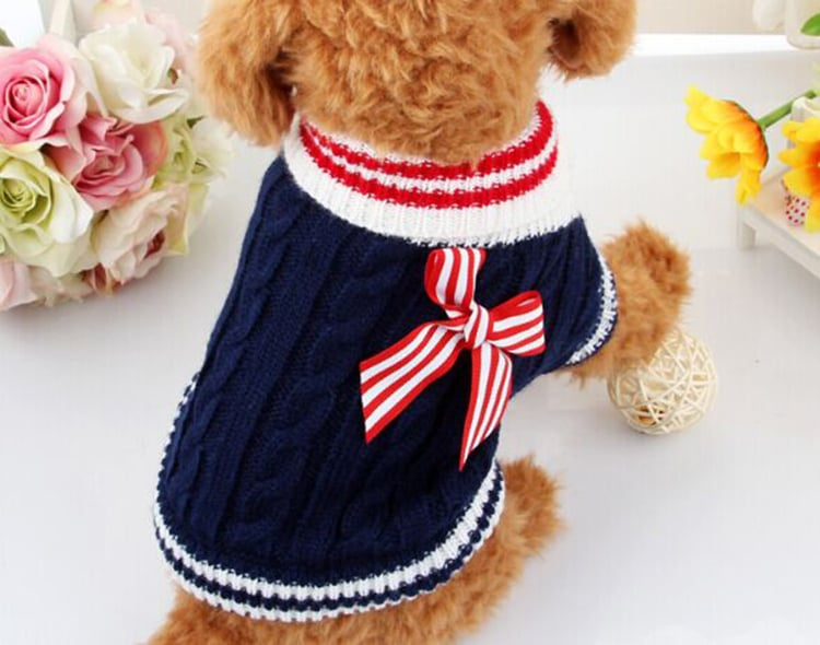 Teddy Law Fighting Sweater for Dogs - Knit Autumn/Winter