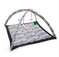Folding Cat Tent and Hammock Play Mat for Cats