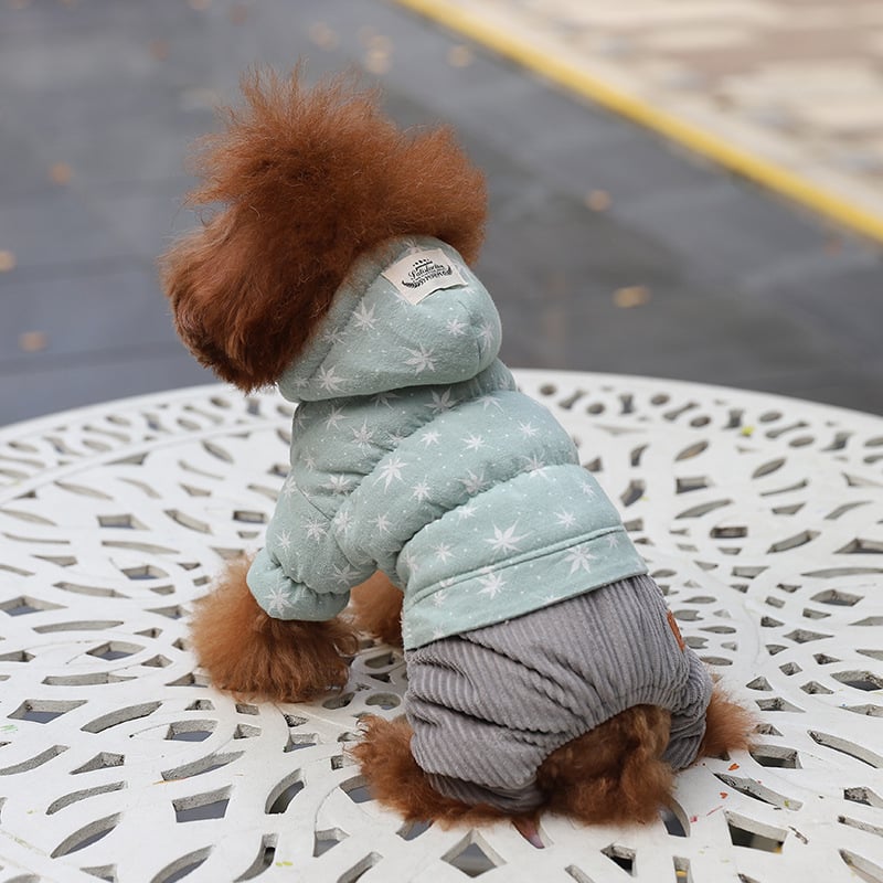 Cute Padded Four-Legged Clothes for Small Dogs