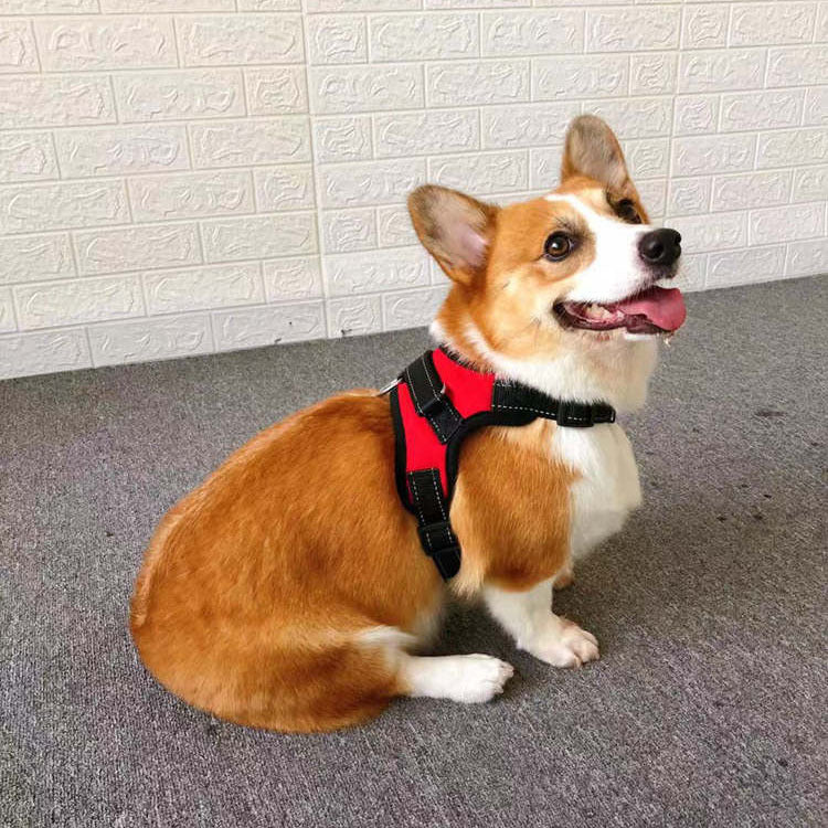 Small Dog Vest Harness with Leash