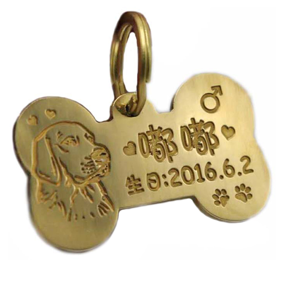 Custom Engraved Metal Dog Tag for Pets (Teddy & Golden)