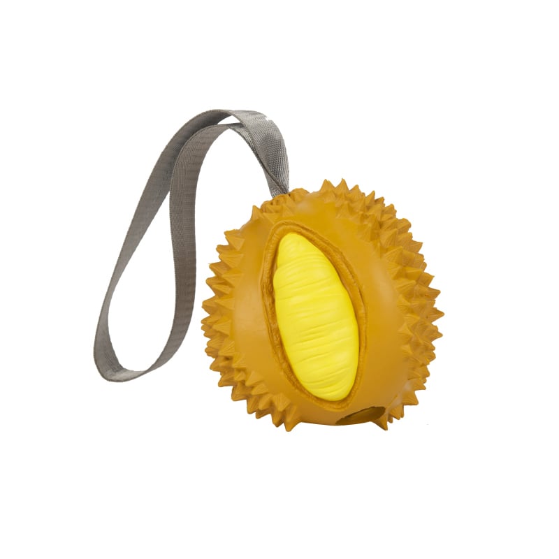 Funny Fruits Shape Dog Chew Toy for Teeth Cleaning
