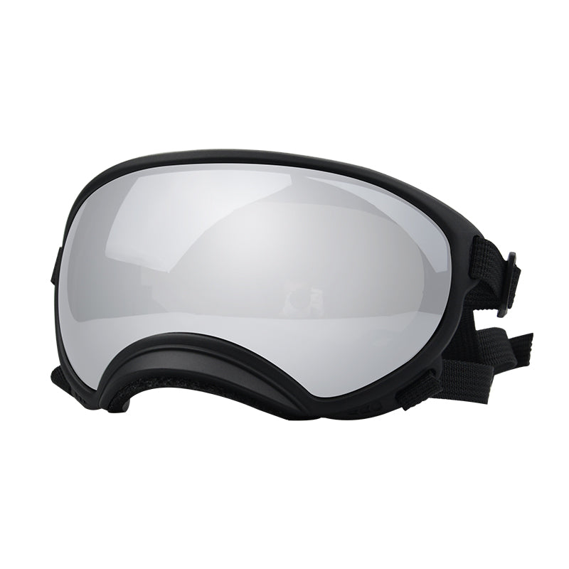 Fashionable Dog Skiing Goggles for Unique Style