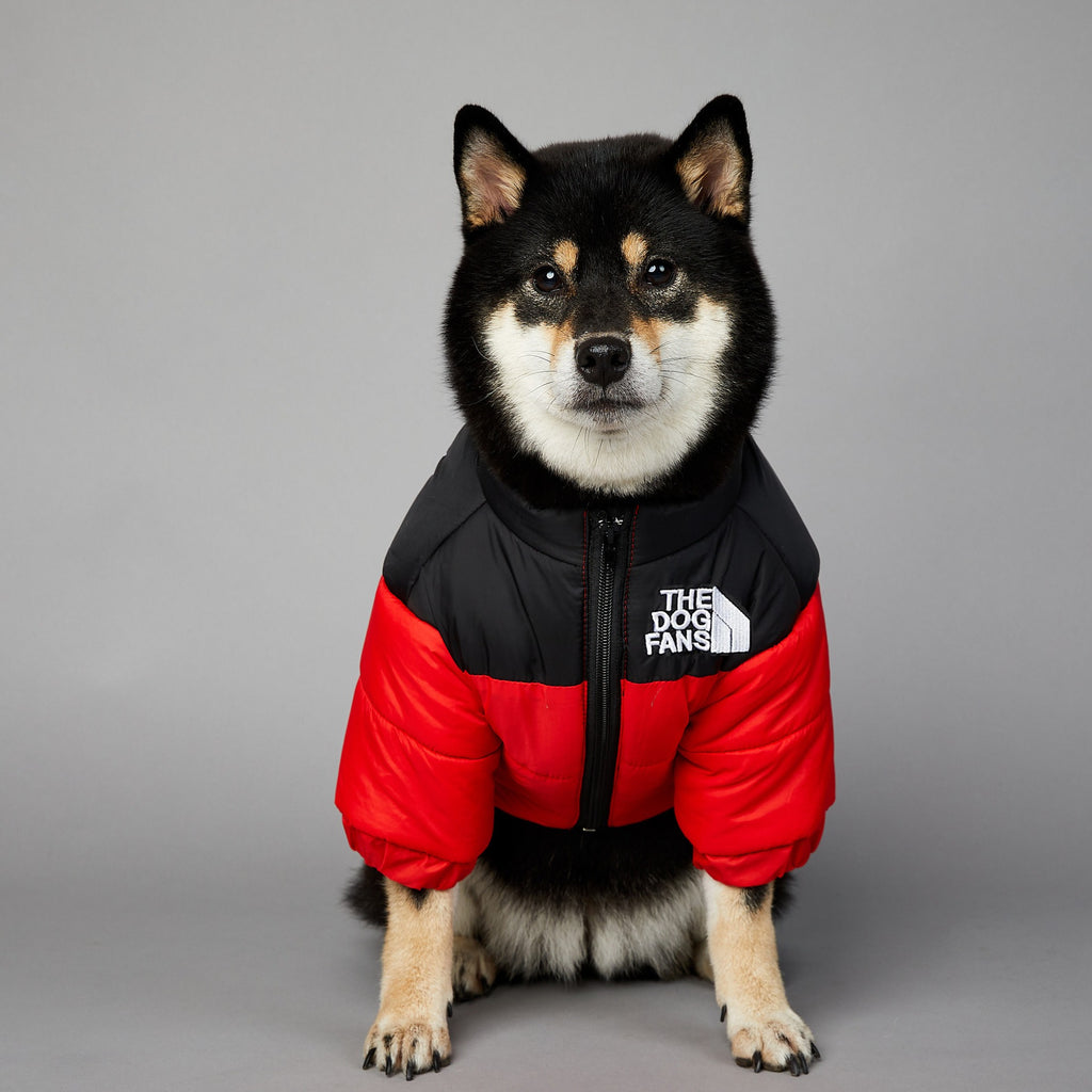 Windproof Rainproof Dog Winter Cotton-padded Clothes