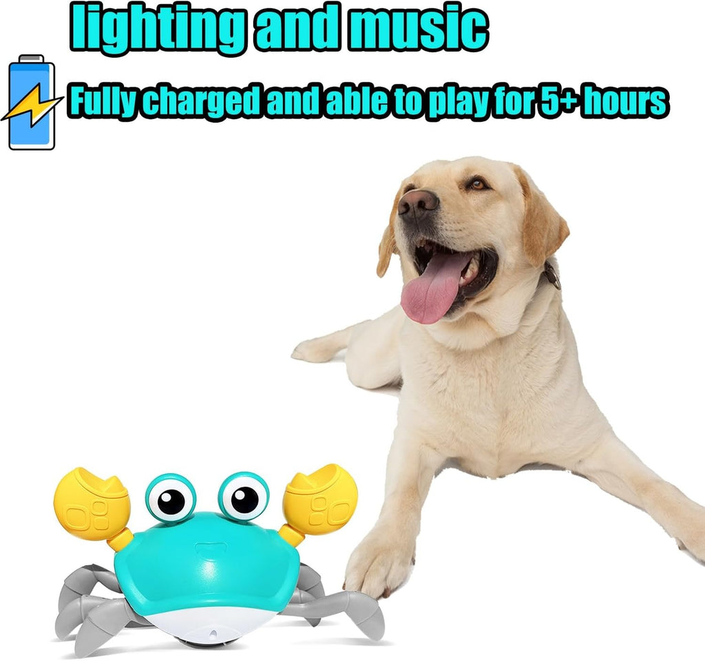 Interactive Crawling Crab Pet Toy for Dogs & Cats