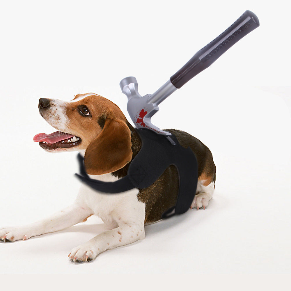 Halloween Fun Ideas for Cats and Dogs