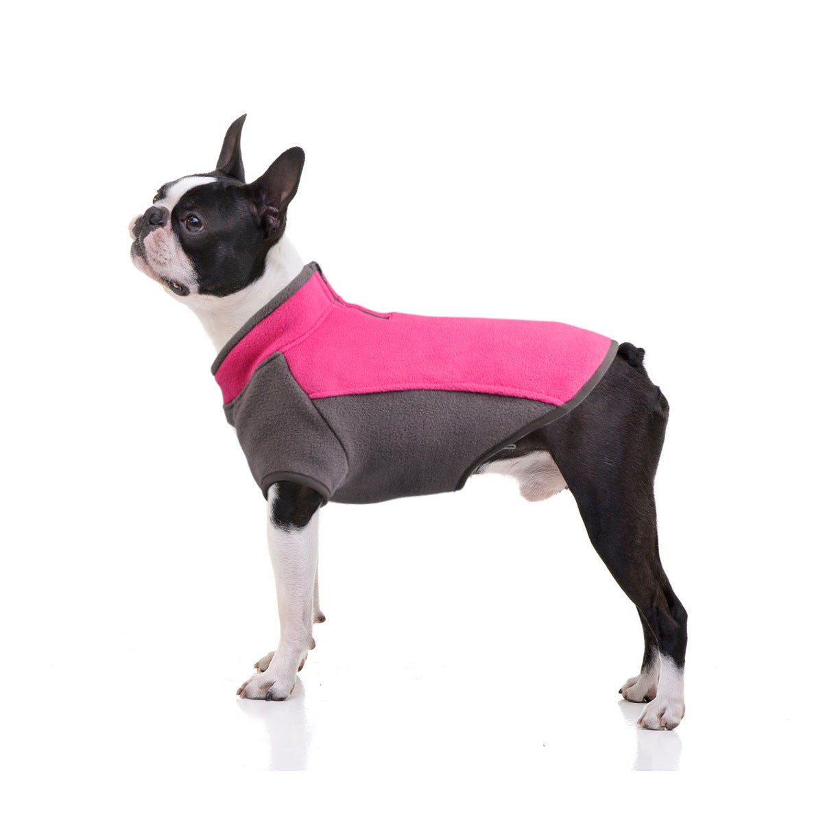 Big Dog Casual Thick Cotton-Padded Jacket